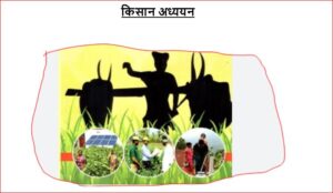 किसान अध्ययन,कृषक समाज